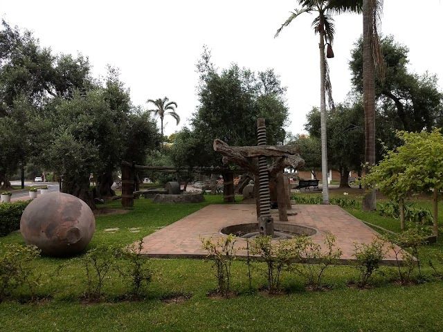 Jardin El Olivar